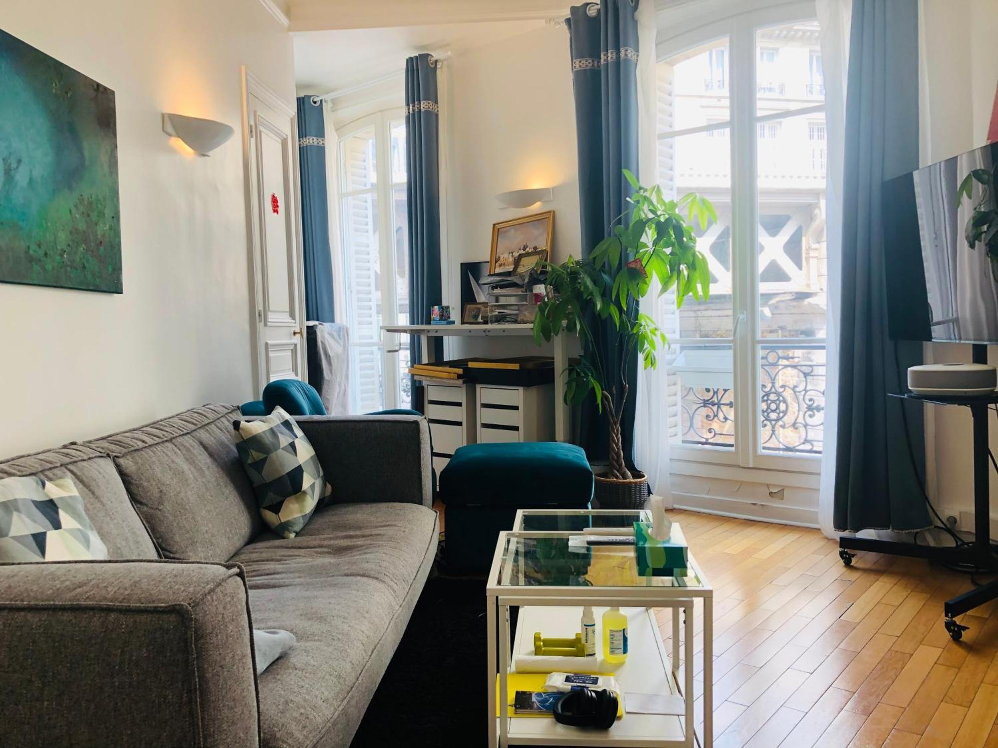 Comfortable And Luxury Appart-center Of Paris